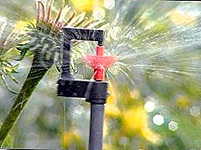 Riego por goteo para el invernadero: sistemas de riego automático, sistemas de riego, equipos y dispositivos