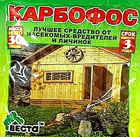Karbofos de chinches: un medio para dispersar "klopyatnik" a un precio bajo