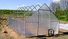 Frame made of profile pipes for polycarbonate greenhouses with your own hands: step-by-step instructions, drawings and nuances
