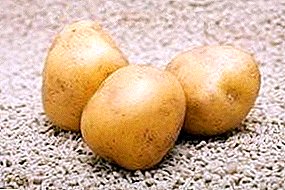 Adretta potatoes - a gift from the Germans gourmet gourmet