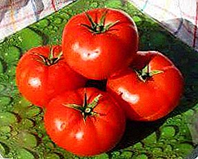 Sweet and sour, early ripe variety of tomato "Russian tasty": advantages and disadvantages of tomato