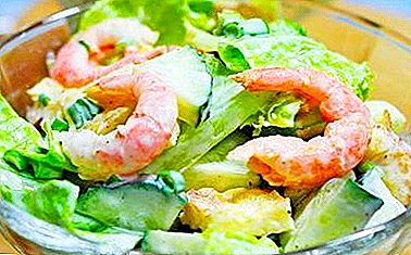 A storehouse of vitamins: a salad with shrimps and Chinese cabbage