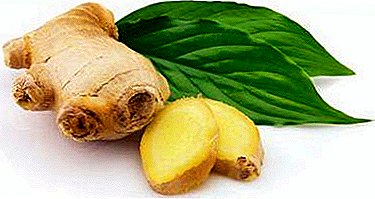 The root of health is ginger. What is useful in dried form and how to independently prepare?