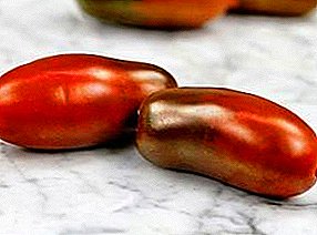 아름다움과 세련된 맛 : 토마토의 종류 Yellow, Orange 및 Black Icicles