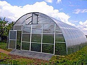 Year-round winter greenhouse as a business, greenhouse profitability
