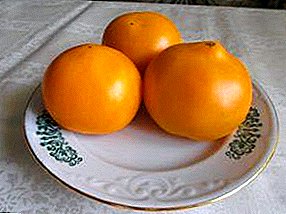 Storfruktet og smakfull tomat "Orange Giant": Beskrivelse av sorten, dyrking, foto av tomatfrukter