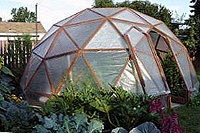 Do-it-yourself dome greenhouse is the right solution for lovers of original ideas