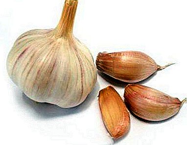 Treatment of nail fungus on the legs. How to use garlic against onychomycosis?