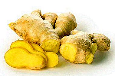 Cancer treatment of ginger root: how it affects the disease, as well as recipes with turmeric, cinnamon and other ingredients