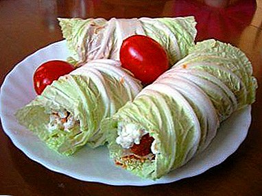 Easy recipes useful stuffed Chinese cabbage