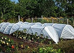 Lightweight, compact and durable greenhouse "Agronom"
