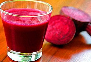 Medicine from the garden. Beet juice from the common cold and other diseases of the nose