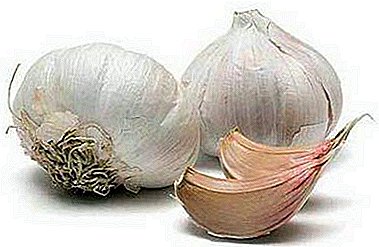 The best medicine on hand - garlic in your ear