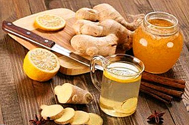Les meilleures recettes de thé maison avec du gingembre moulu et frais pour perdre du poids: les règles de préparation et de réception