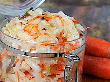 The best way to pickle cabbage in a can so that it is guaranteed to be crispy