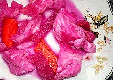 Cavolo marinato georgiano con barbabietole: raccomandazioni e ricette