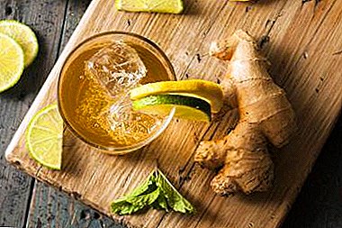 Mineral water with ginger: what is useful and how to drink? Lemon and other recipes