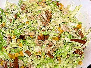 Veel ideeën voedende, smakelijke en gemakkelijke salades uit Pekingse kool met ham