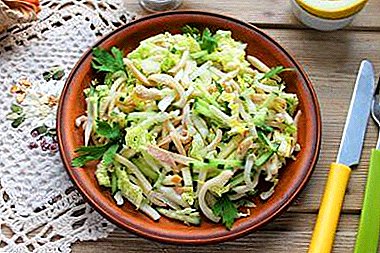 A variety of simple and healthy salads with squid and Chinese cabbage