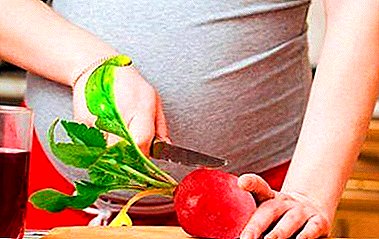 Is it possible to eat radishes during pregnancy? Benefit and harm, contraindications and delicious recipe