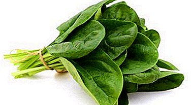 Is it possible to eat spinach during pregnancy? Benefits, Contraindications and Recipes
