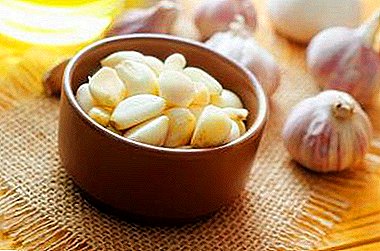 Can I swallow a clove of garlic whole overnight or is it better to do this in the morning? The benefits and harms of this method of treatment