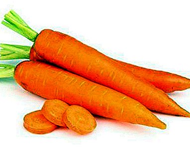 Is it possible to plant carrots before winter? What varieties sow and how to carry out the procedure?