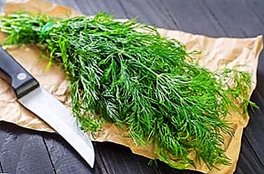 Is it possible to keep the dill fresh in the refrigerator and how to prepare it in other ways?