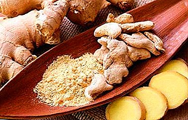 Can I eat ginger during pregnancy? Useful recipes for tea with the root.