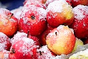 Могу ли замрзнути јабуке за зиму у замрзивачу и како?