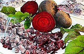 Is it possible to freeze the beets for the winter at home: all about proper storage