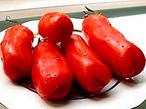 男性的な尊厳や女性の幸せ？トマトの種類の説明、その主な特徴と栽培の特徴