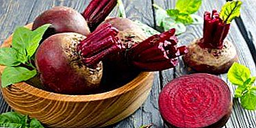We start feeding: at what age can you give beets to a child?