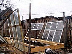 Reliable frame for the greenhouse do it yourself from the available materials: inexpensive but quality