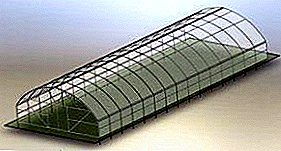 Reliable and practical - tunnel-type greenhouse: how to make with your own hands on the garden plot name drawings