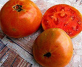 Hledání pro zemědělce - odrůda rajčat "Mistrovské dílo rané": foto a obecný popis