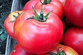 Encontre para jardineiros - o tomate de Rosa japonês: a descrição de um grau e características do cultivo