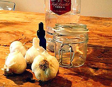 Traditional medicine: tincture of garlic on vodka, alcohol or red wine to clean the vessels