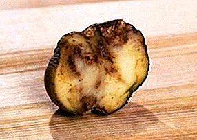 Jak ważne są fungicydy dla ziemniaków?