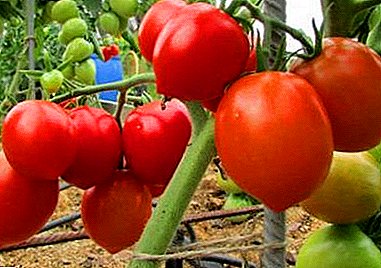 Ce sudiste à haut rendement est une variété de tomate "O-la-la": photo, description et caractéristiques de la culture