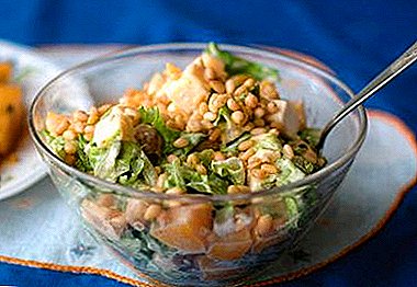 Uma gama incomum de sabores - saladas de couve chinesa com pinho, nozes e outras nozes