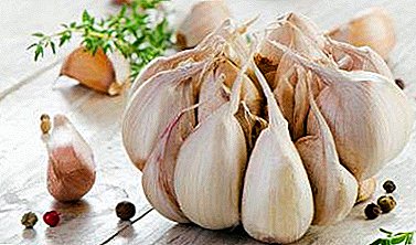 Unusual medicine - garlic husks. Useful properties, application in traditional medicine