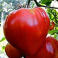 الاسم غير العادي لمجموعة متنوعة من الطماطم هو "شجرة الفراولة" ، وهي وصف لمجموعة مختلطة من سيبيريا