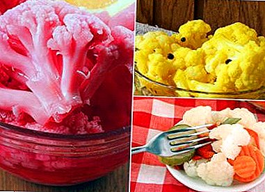 Unusually tasty and healthy pickled cauliflower - quick-step step-by-step recipes