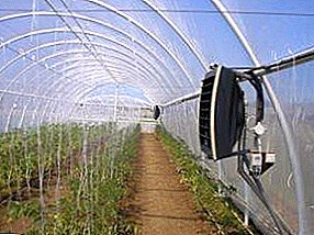 En integrerad del av växthuset är termostaten (enkla alternativ, ett system för mekanisk justering av ventilationsöppningarna och mer)
