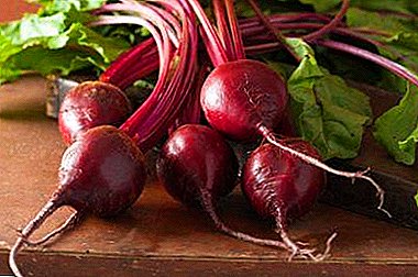 Unexpected properties of red beet: a useful root vegetable for men