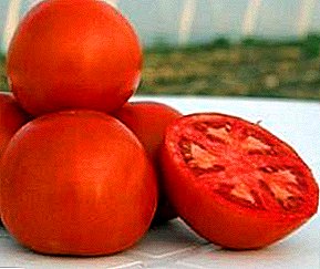 Hybride sans prétention pour terrain ouvert - description de la variété de tomate "Lady Shedi"