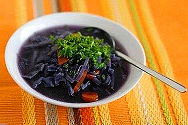 Unusual red cabbage borscht is tasty and healthy! Cooking recipes