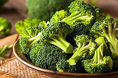 Delicate, tasty and healthy baked broccoli - recipes for the oven