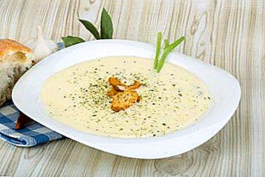 Gentle, helpful, light and satisfying - it's all about him. Learning to cook delicious cauliflower puree soup